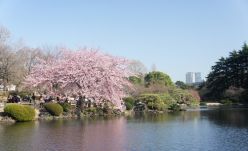 日本旅游签证 去日本旅游签证