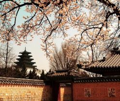 韩国首尔一地游 武汉到韩国旅游团 超值韩国炫彩半自助5日游（首尔一地 ）