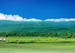 武汉到内蒙古旅游推荐 哈尔滨内蒙旅游团 异域哈尔滨、呼伦贝尔草原（海拉尔、满洲里）双卧七日游