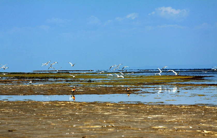 武汉到青海旅游 武汉到青海旅游团要多少钱 浪迹青海双飞六日游